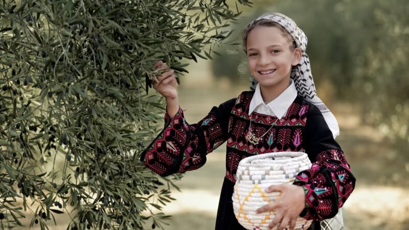 Thematic lead image: olive harvest, political activism — Lander's Detention: A Precedent for US Political Intervention in West Bank | National Times