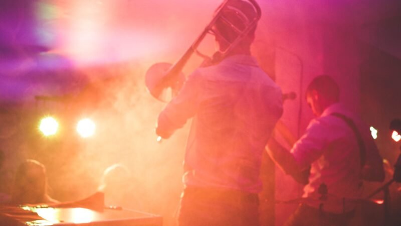 Thematic lead image: musician performing — Anuv Jain's strategy signals a shift in India's music industry power | National Times