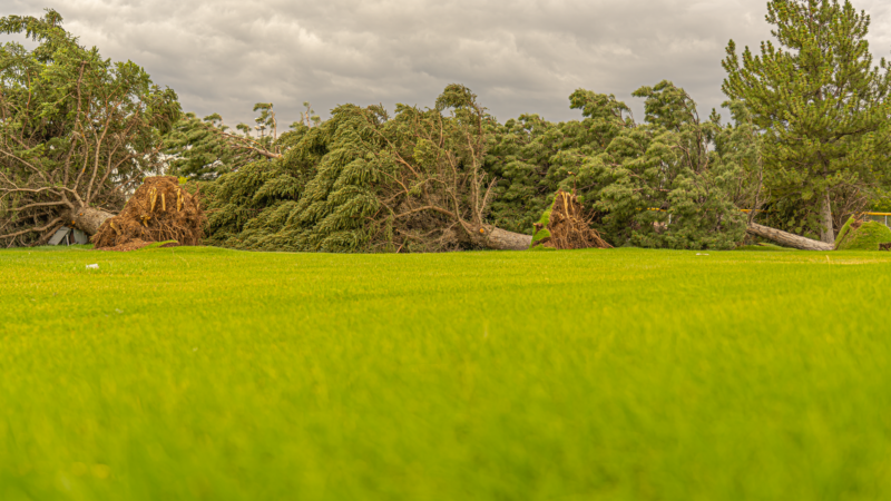 Thematic lead image: tornado damage — Australian Tornado Raises Questions on Climate Signatures and Preparedness | National Times