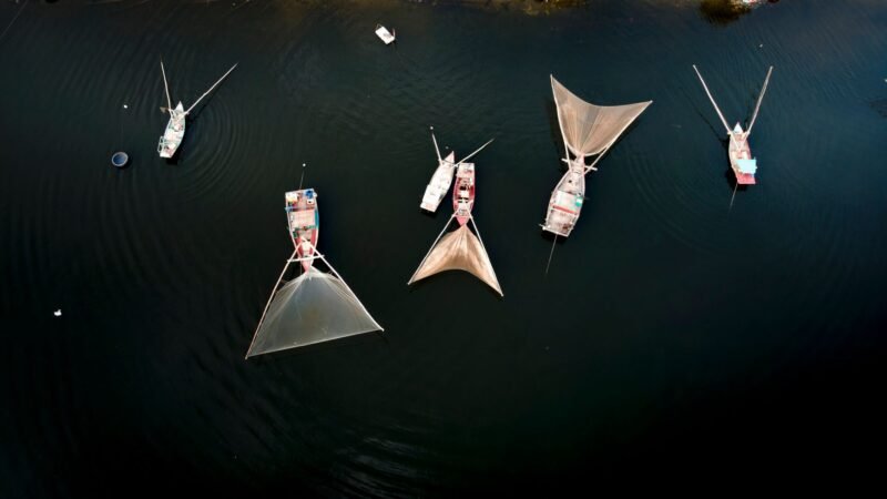 Thematic lead image: fishing nets drone defence — Pakistan's Drone Defence: A Precedent for Low-Cost Asymmetric Countermeasures | National Times
