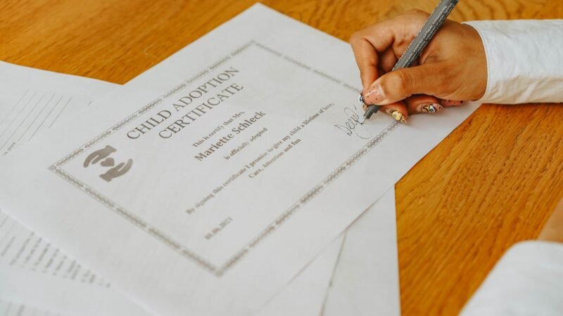 Thematic lead image: surrogacy, child protection — California Surrogacy Case Exposes Regulatory Gaps in Global Assisted Reproduction | National Times